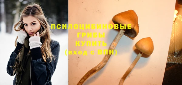 не бодяженный Алзамай