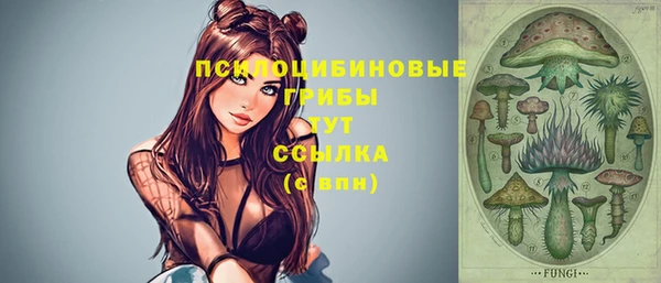 дмт Алексин