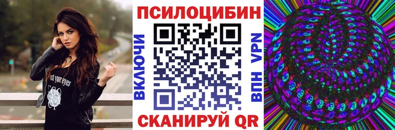hydra ССЫЛКА купить наркотики сайты Кировск Псилоцибиновые грибы GOLDEN TEACHER