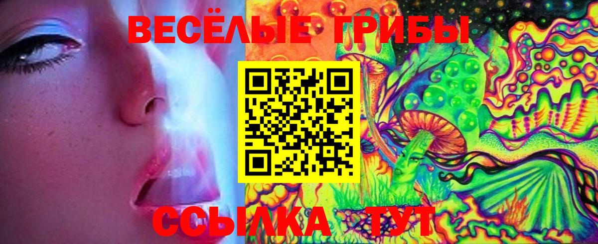 Галлюциногенные грибы мицелий Кировск